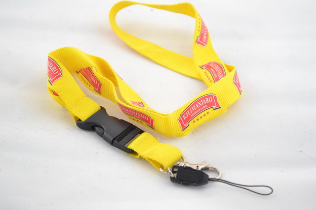 Lanyard