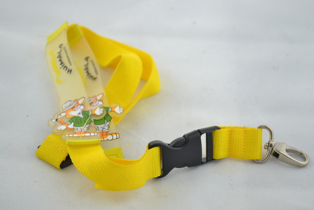 Lanyard